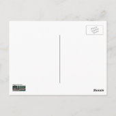 Koeienreflecties in het Briefkaart water (Achterkant)