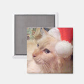 Koeken de Cat Christmas Magnet (Voorkant / Achterkant)