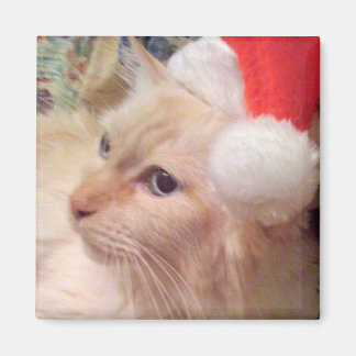 Koeken de Cat Christmas Magnet