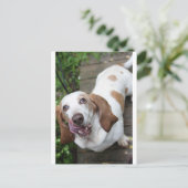 Koekje? Briefkaart (Staand voorkant)