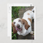 Koekje? Briefkaart (Voorkant / Achterkant)