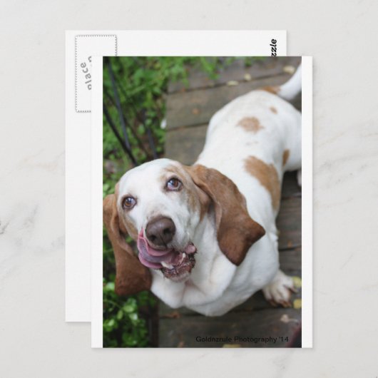 Koekje? Briefkaart (Voorkant / Achterkant)