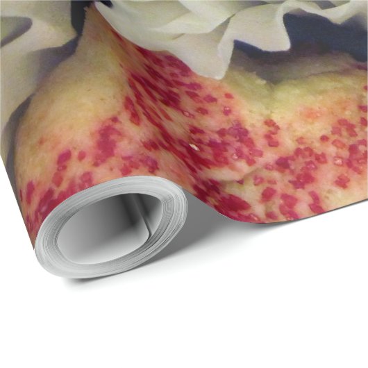 Koekjes Cadeaupapier (Rol Hoek)