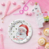 Koekjes voor de Kerstman Papieren Bordje (Feest)