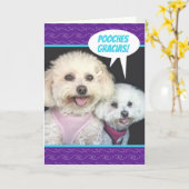 Koekjeshonden - Pooches Gracias Dank je Kaart (Gele Bloem)