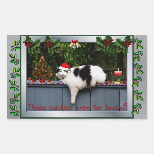 Koekjesliefhebbende kat rechthoekige sticker (Voorkant)