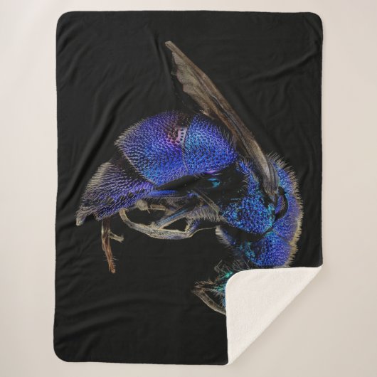 KOEKOEK SHERPA DEKEN (Voorkant)