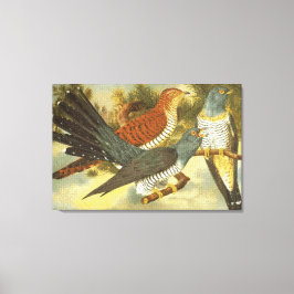 Koekoek Vogels met Moderne Kunst Canvas Print