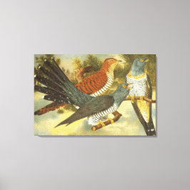 Koekoek Vogels met Moderne Kunst Canvas Print