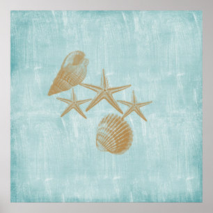 Koekschalen Poster