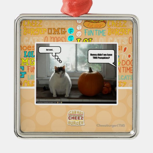 Koel Akte Metalen Ornament (Voorkant)