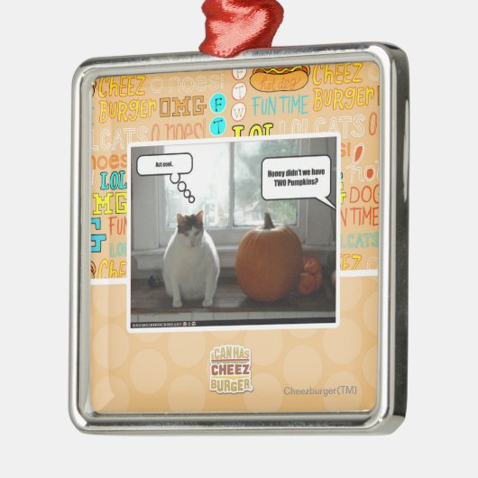 Koel Akte Metalen Ornament (Links)