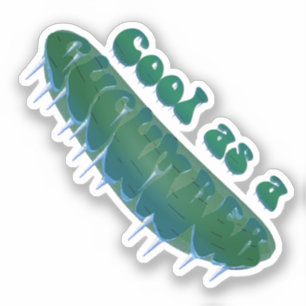 Koel als een Komkommer Sticker