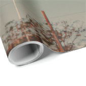 Koel Basketball Cadeaupapier (Rol Hoek)