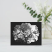 Koel boomfotografie. briefkaart (Staand voorkant)
