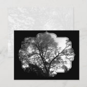 Koel boomfotografie. briefkaart (Voorkant / Achterkant)