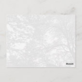 Koel boomfotografie. briefkaart (Achterkant)