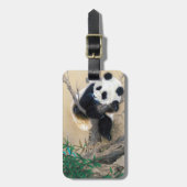 Koel chinese schattige, zoete panda-beer bagagelabel (Voorkant verticaal)