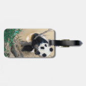 Koel chinese schattige, zoete panda-beer bagagelabel (Achterkant horizontaal)