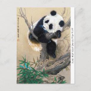 Koel chinese schattige, zoete panda-beer briefkaart