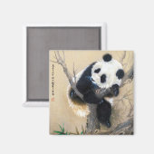 Koel chinese schattige, zoete panda-beer magneet (Voorkant / Achterkant)