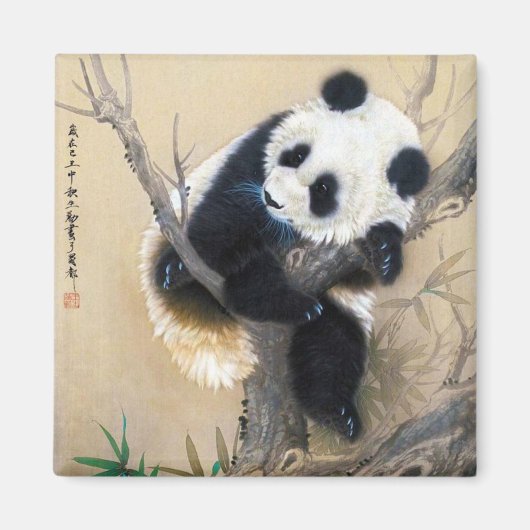 Koel chinese schattige, zoete panda-beer magneet (Voorkant)