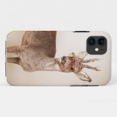 Koel dieren in een zonnebril. Case-Mate iPhone case (Achterkant (horizontaal))