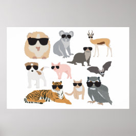 Koel- en funny-dieren die een zonnebril dragen poster