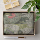  koel- en ondergrondse kolibries tissuepapier (Geschenk)