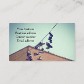 Koel en ongebruikelijke visitekaartjes (Achterkant)