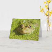 Koel houden kaart (Gele Bloem)