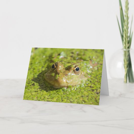 Koel houden kaart (Voorkant)