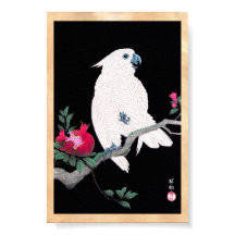 Koel japans witte cockatoeparrot tropische vogel