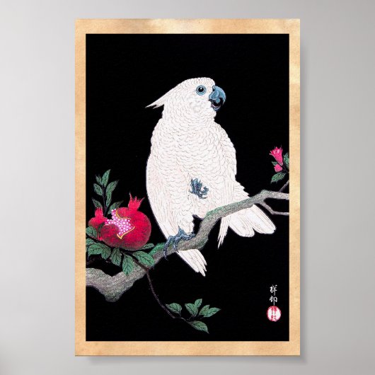 Koel japans witte cockatoeparrot tropische vogel poster (Voorkant)