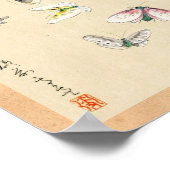 Koel-japanse  ukiyo-e-vlinderrol poster (Hoek)