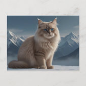 Koel Kat Briefkaart (Voorkant)