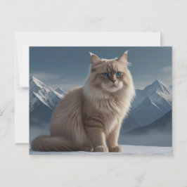 Koel Kat Briefkaart