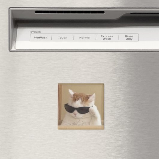 Koel kat meme magneet (Insitu (Vaatwasser))
