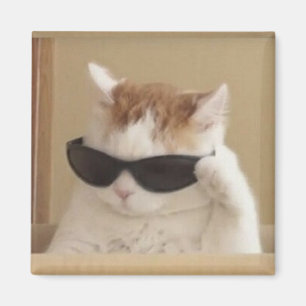 Koel kat meme magneet