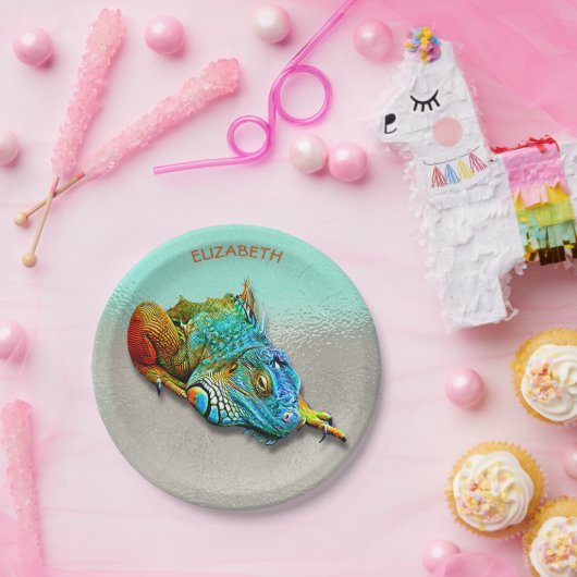 Koel, kleurrijk, regenboog, herhaal papieren bordje (Feest)