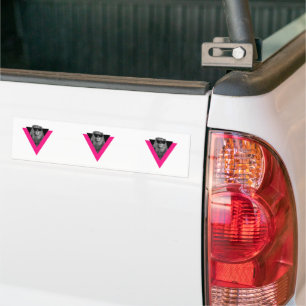 Koel Leeuw Bumpersticker