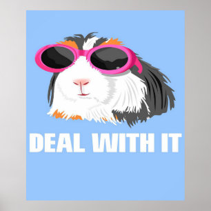 Koel met het cavia-uitsteeksel poster
