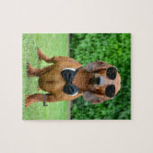 Koel met Sunglass Dachshund hond 110 puzzel Legpuzzel (Horizontaal)