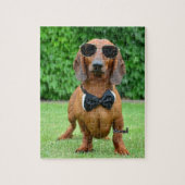 Koel met Sunglass Dachshund hond 110 puzzel Legpuzzel (Verticaal)