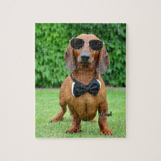 Koel met Sunglass Dachshund hond 110 puzzel Legpuzzel (Verticaal)