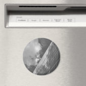 Koel, modern, stedelijk natuur en architectuur magneet (Insitu (Vaatwasser))