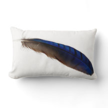 Koel moderne blauwe veer op wit