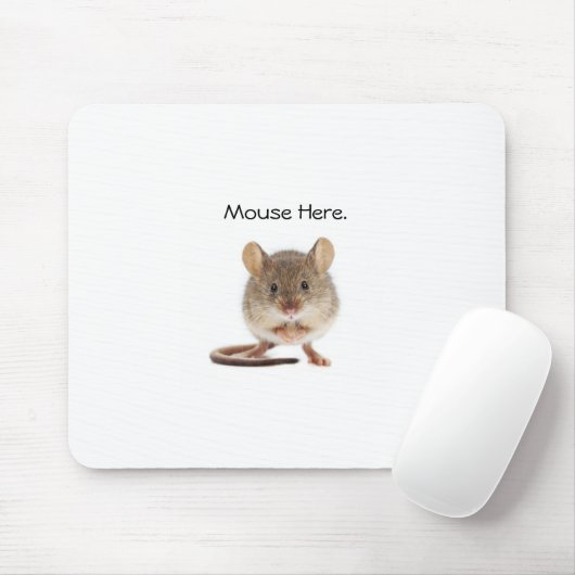 Koel Muismat (Met muis)