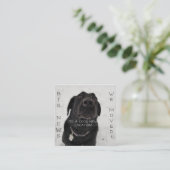 Koel nieuwe locatie! Briefkaart (Staand voorkant)