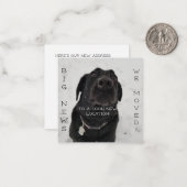 Koel nieuwe locatie! Briefkaart (Voorkant / Achterkant in situ)